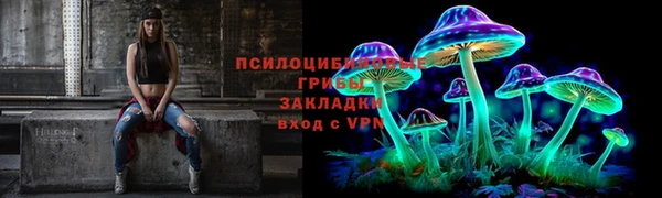 индика Красноперекопск