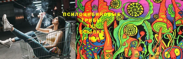 хмурый Алексеевка