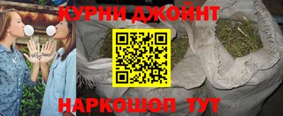 шишки Изобильный