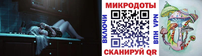 Галлюциногенные грибы Psilocybe  Красноярск 
