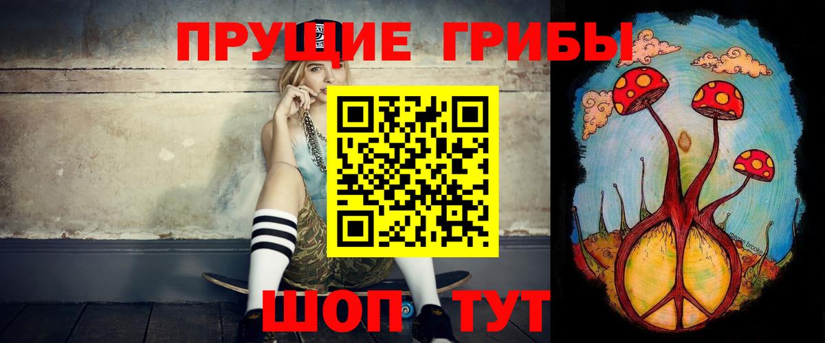 Псилоцибиновые грибы Cubensis Красноярск