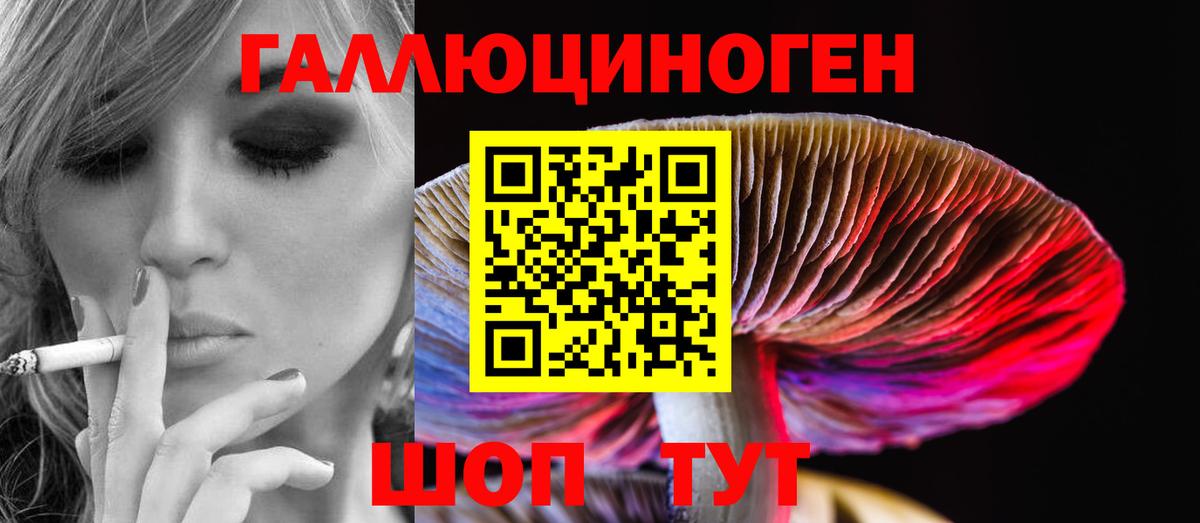 Галлюциногенные грибы Psilocybine cubensis  Псилоцибиновые грибы мухоморы  Красноярск  Вход с VPN 